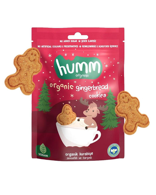 Organic Vegan Ginger & Cinnamon Cookies - 55G
