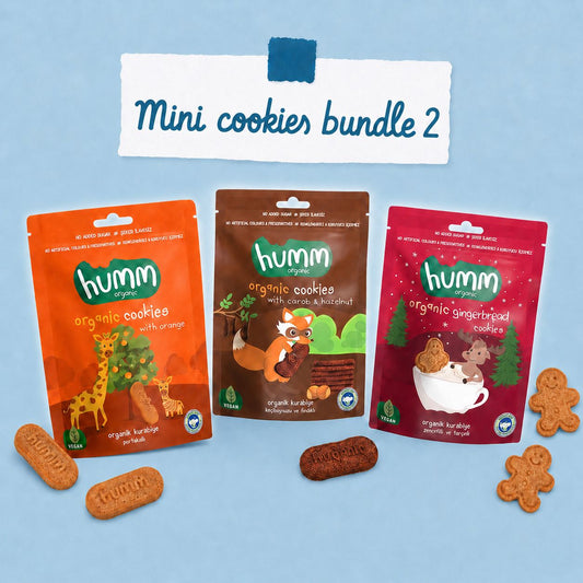 Mini cookies bundle 2