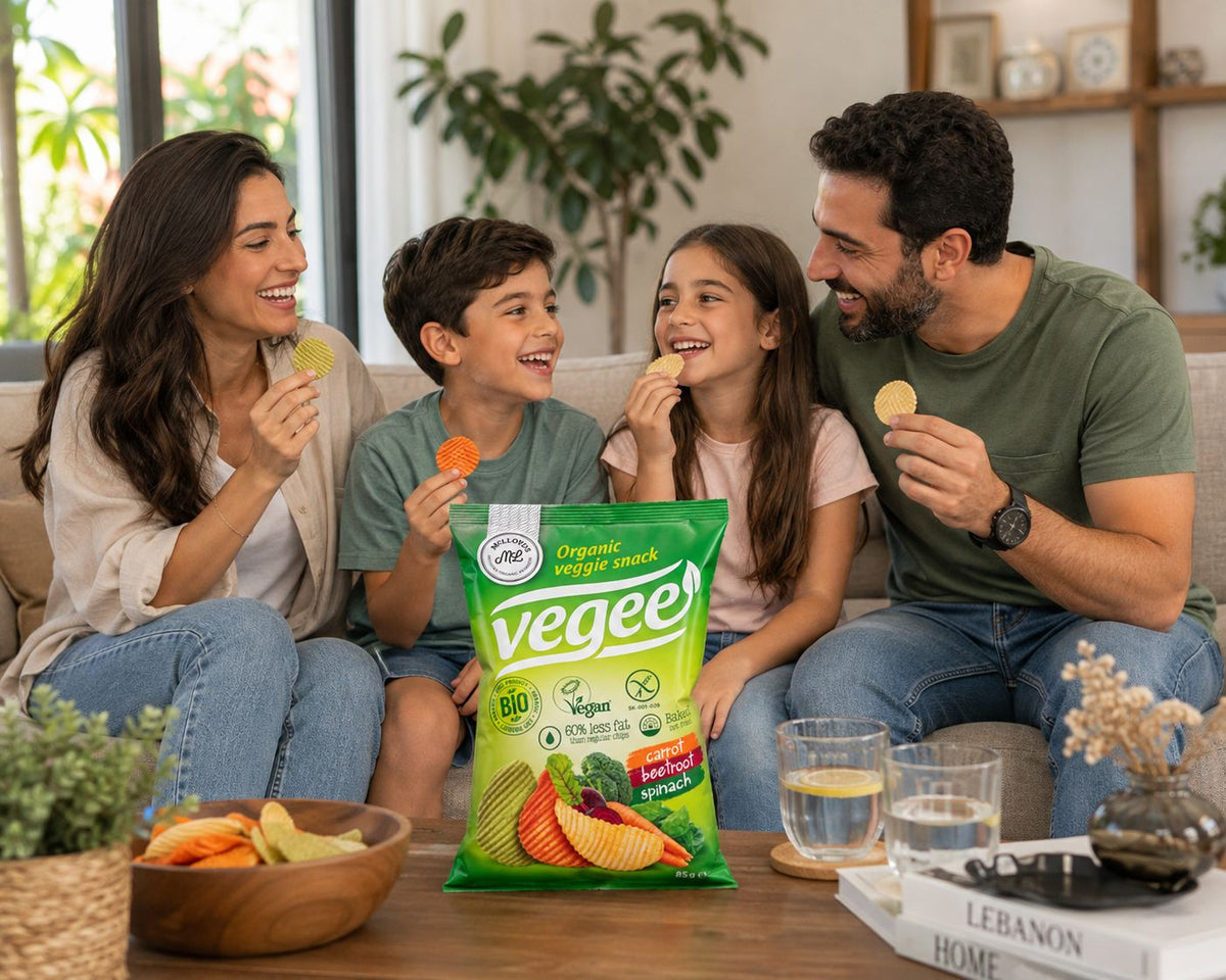 McLLOYD’S Vegee Organic Veggie Snack – 25g